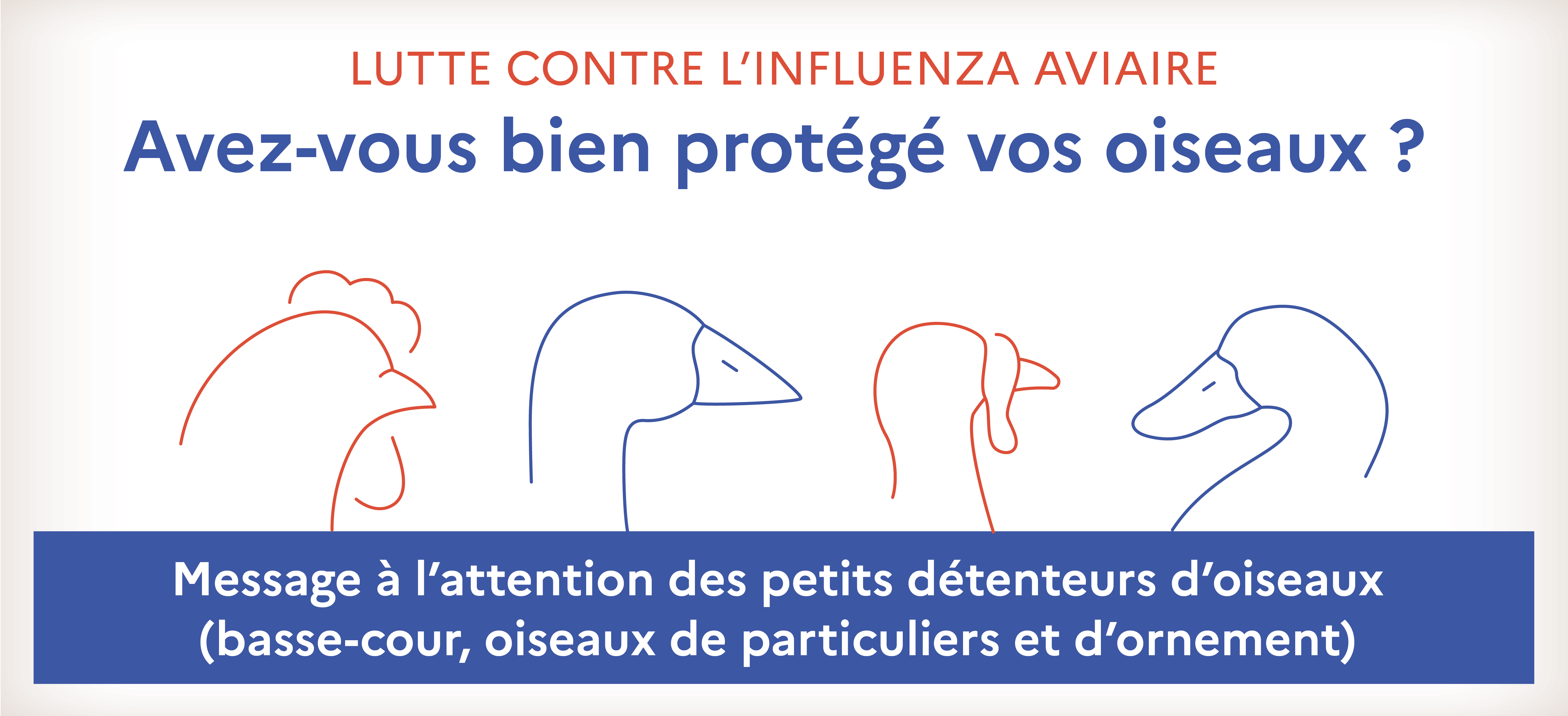 Ban - Inflenza Aviaire