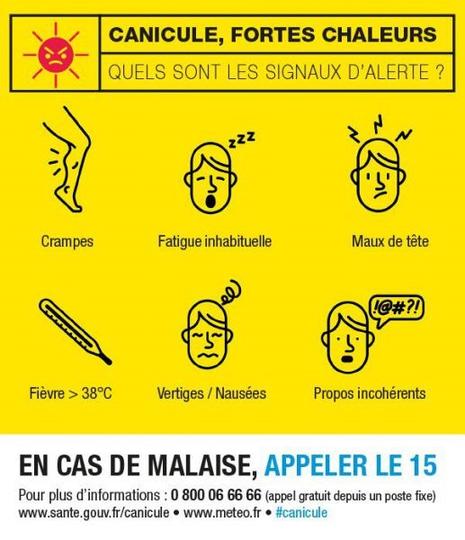 canicule signaux alerte