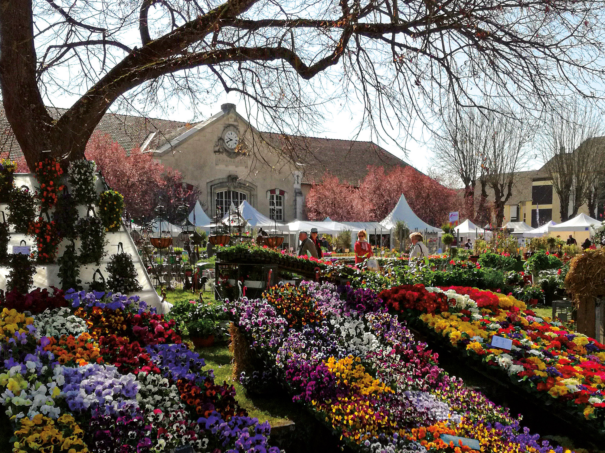 Le Salon Du Jardin Loisirs Culture Sport Loisirs Ville De Senlis